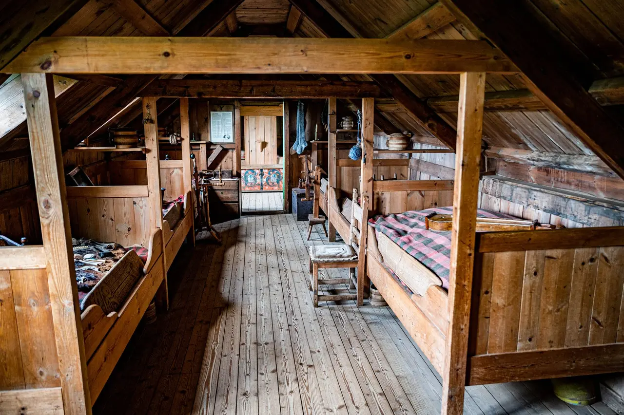 Attic Dead Rodent Removal