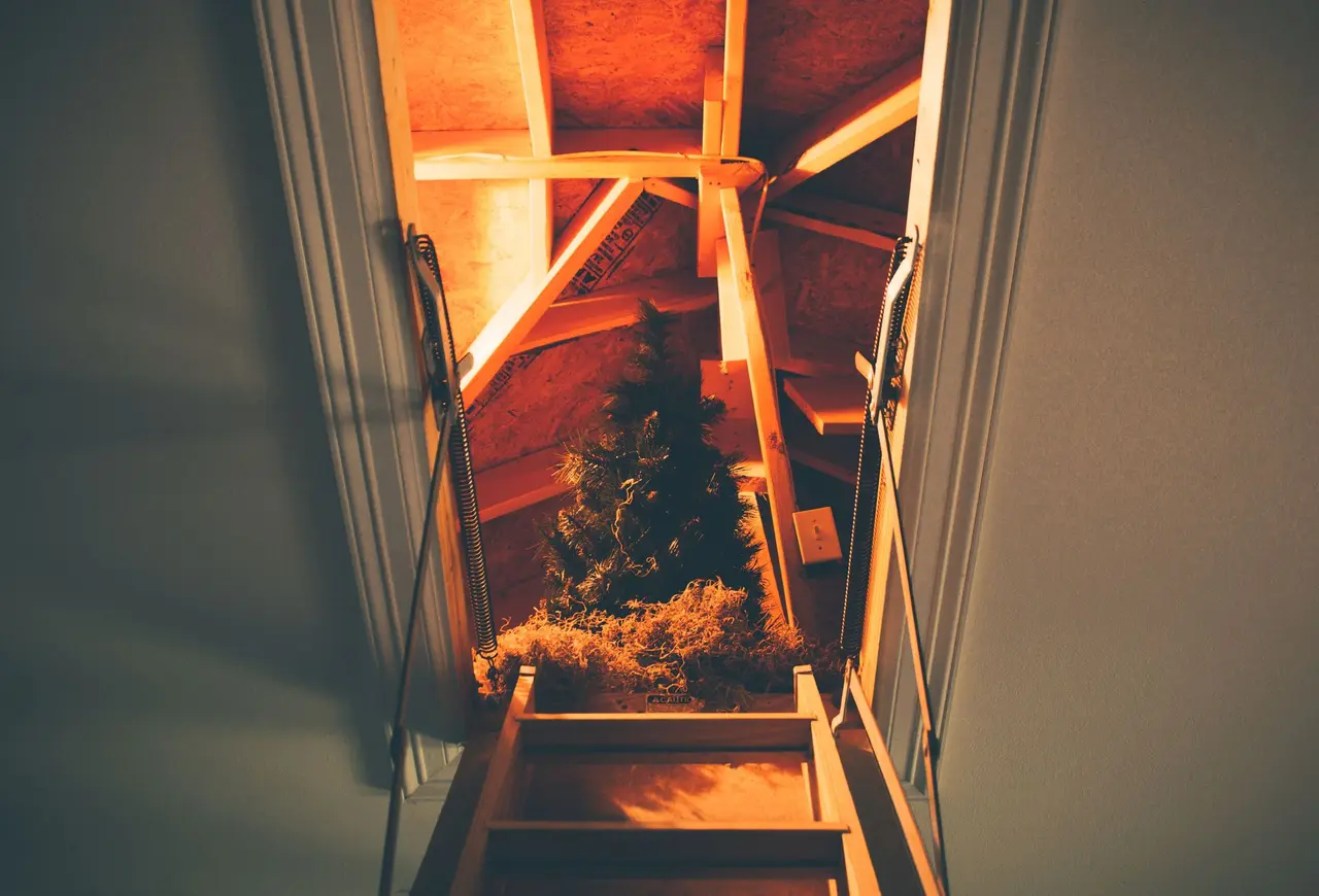 Attic Rat Droppings Cleanup