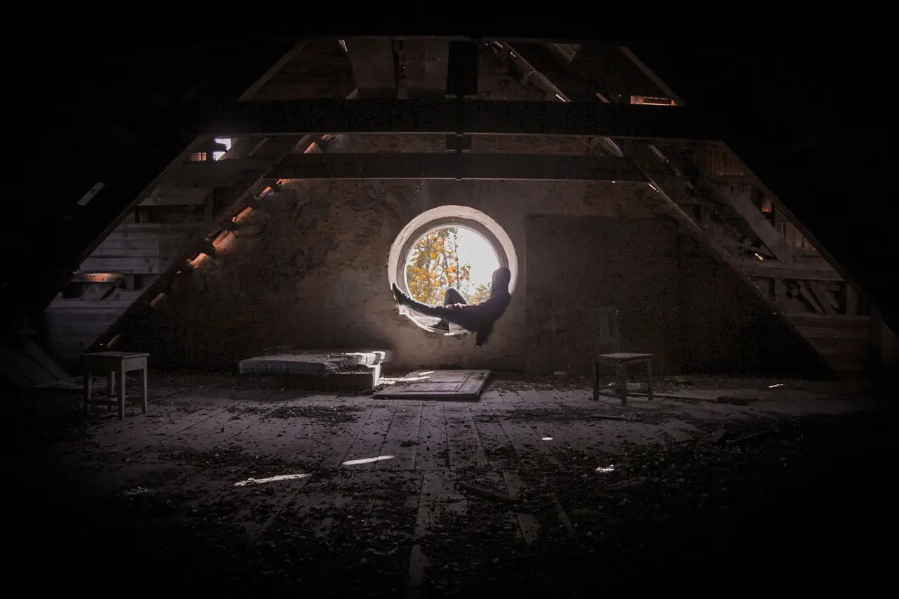 Attic Rodent Damage Inspection