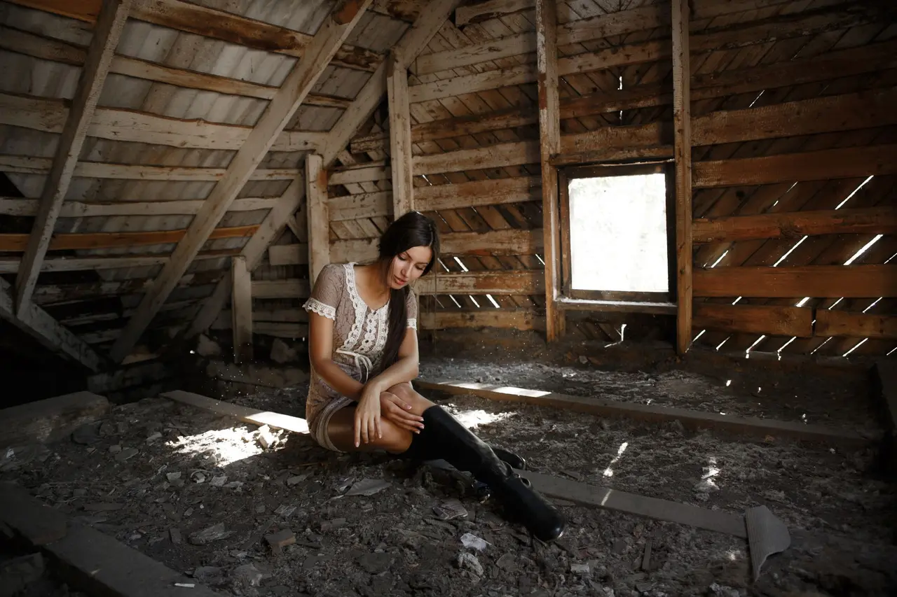 Attic Rodent Debris Removal