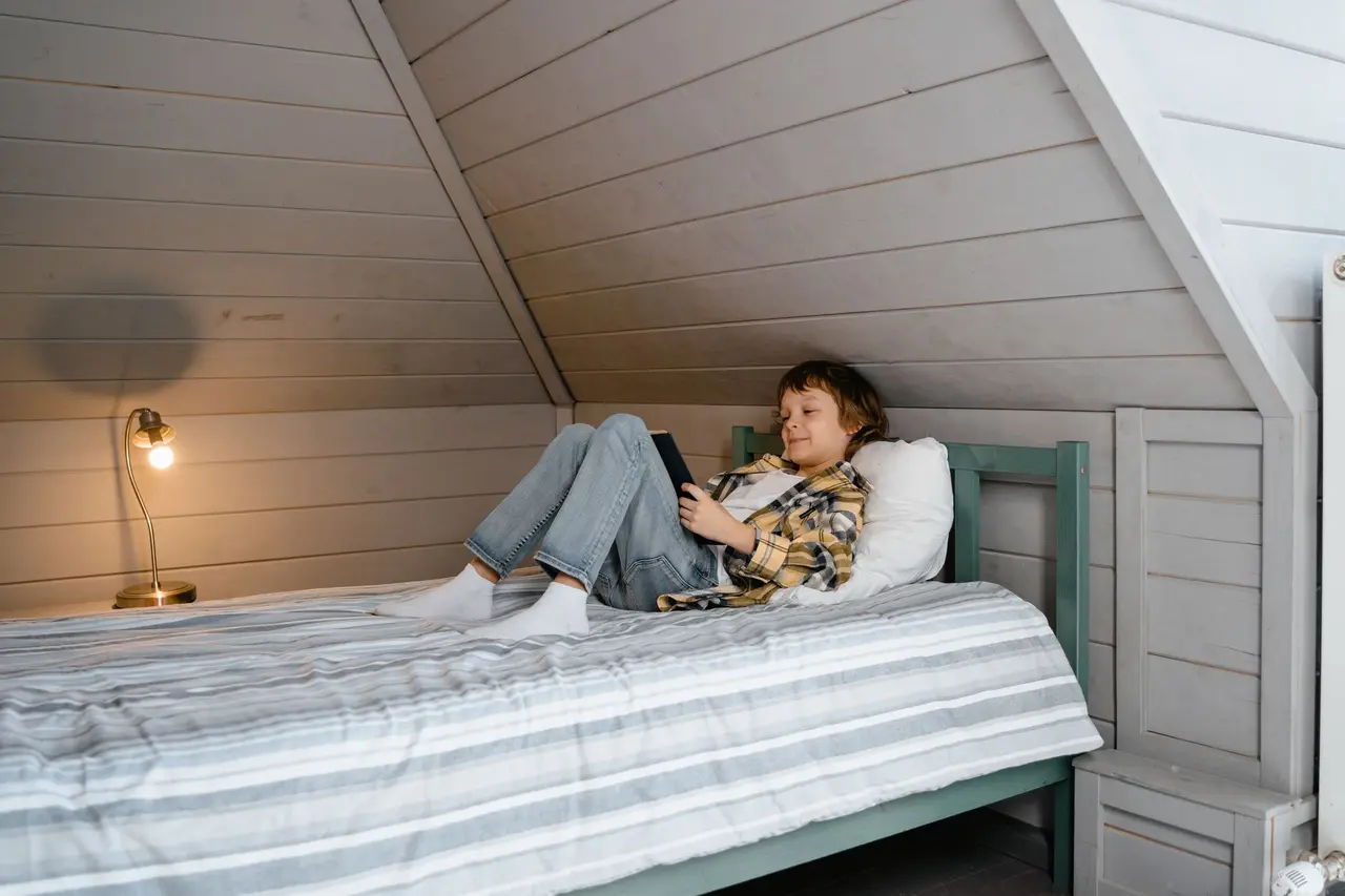Attic Rodent Proofing