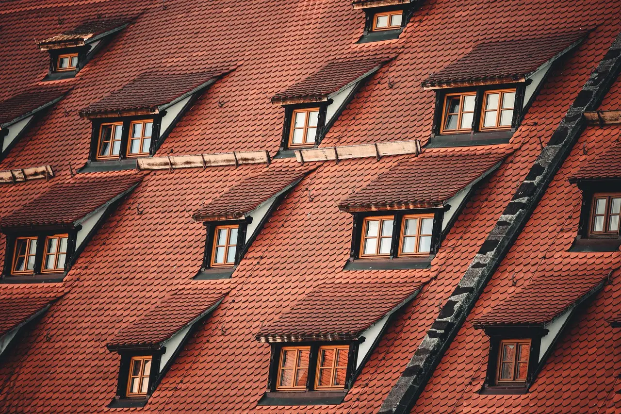 Attic Sanitization After Rodents