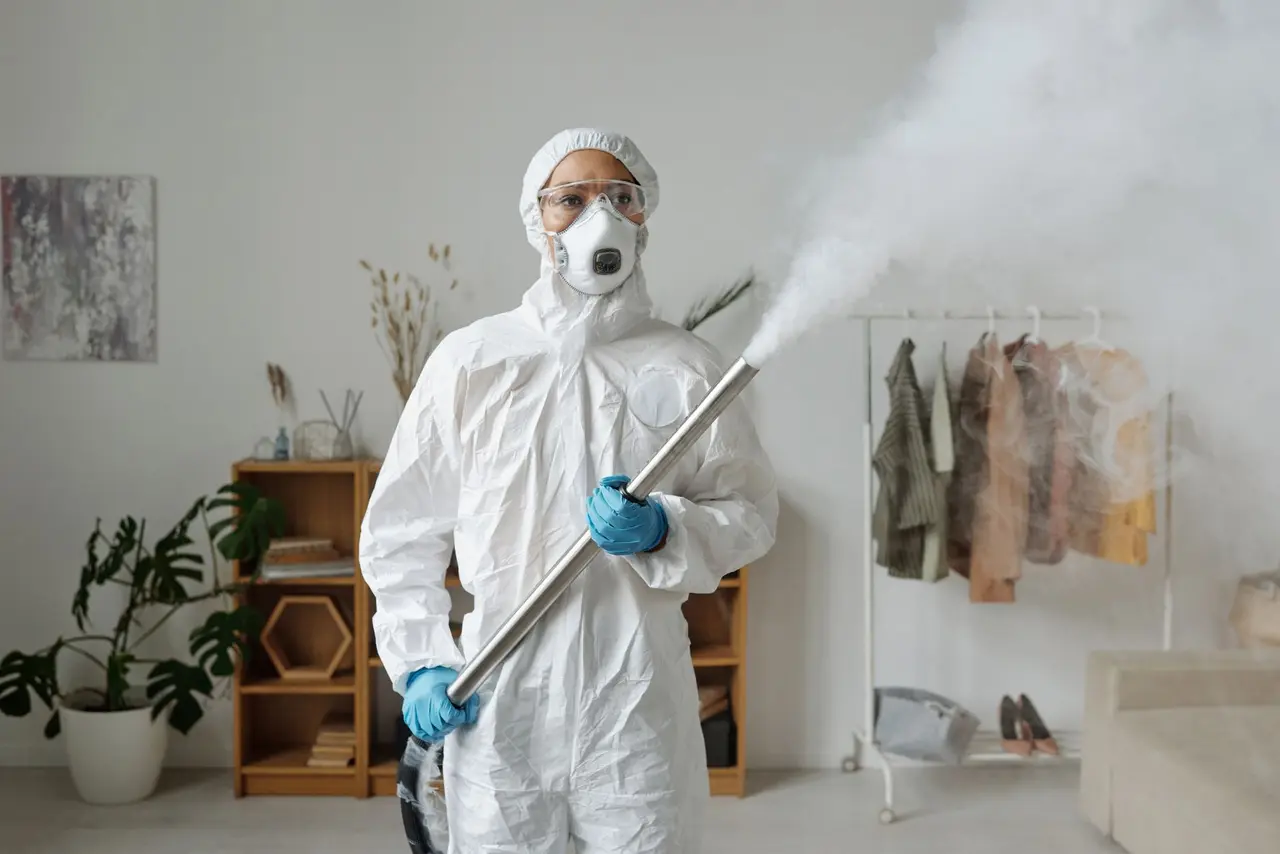 Professional Attic Contamination Cleanup